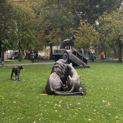 So, what exactly are all those lion statues doing in The Meadows?