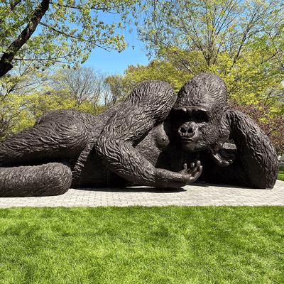 “World’s Largest Bronze Gorilla” Lands in Connecticut