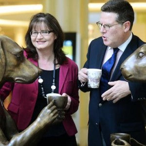 Art draws every dog and hare to Adelaide Central Plaza