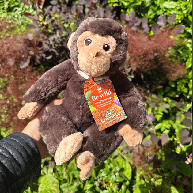 Youngsters Invited to Track Down 290 Hidden Chimp Toys as Be Richmond ...