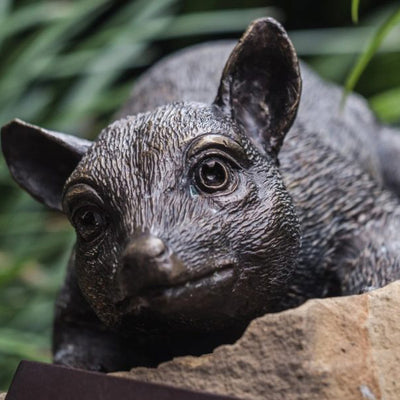 Bronze animal art trail a vibrant addition to South Jerra Town Park