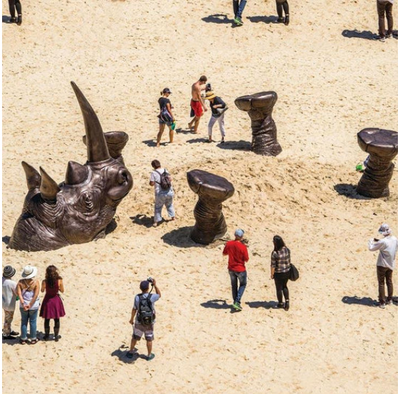 Shandu, the Buried Rhino & Friends