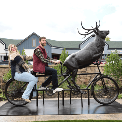 The Locals of the Smokies