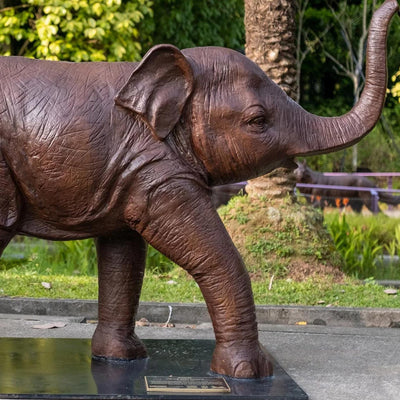 Love the Baby Indian Elephant & Black Rhino