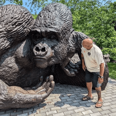 World’s Largest Bronze Gorilla Sculpture, world record set in Greenwich, Connecticut