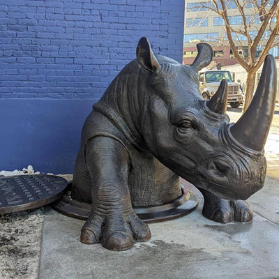 Come Out, Rhino