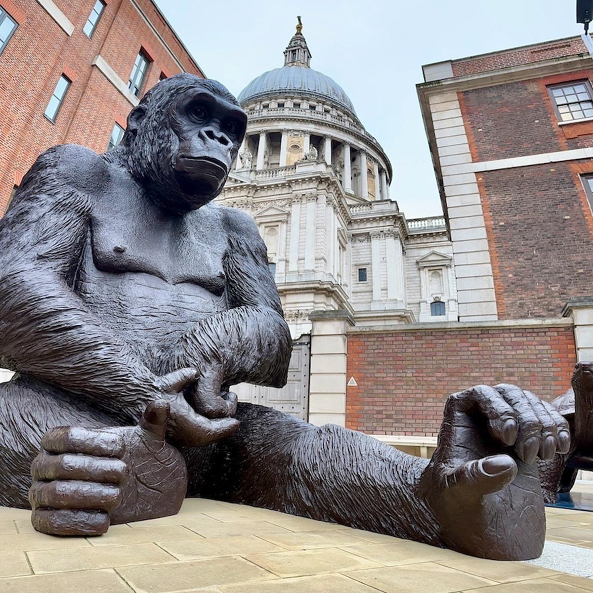 Families Life Size Bronze Garden Gorilla Statues