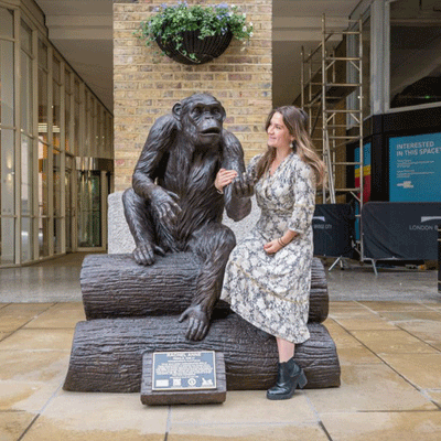 Chimps Are Family exhibition is coming to Kingston