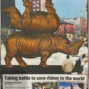 Taking battle to save rhinos to the world
