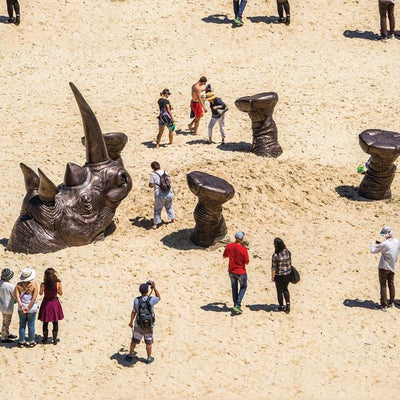 Shandu, the Buried Rhino & Friends