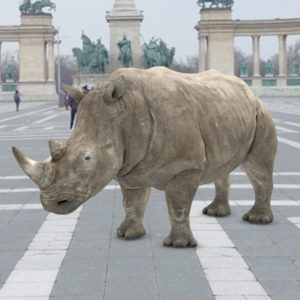 THE LAST THREE NORTHERN WHITE RHINOS TO BE “DIGITALLY RESURRECTED” IN NEW YORK USING AUGMENTED REALITY