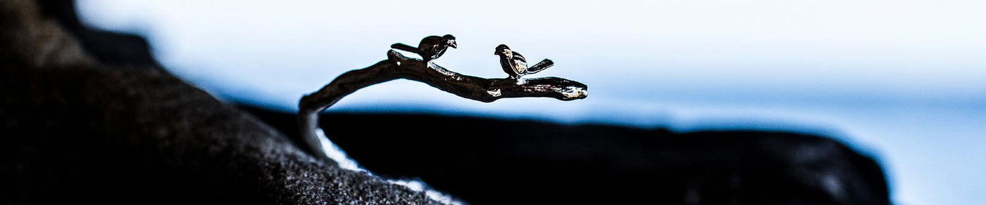 Sterling Silver Bracelets