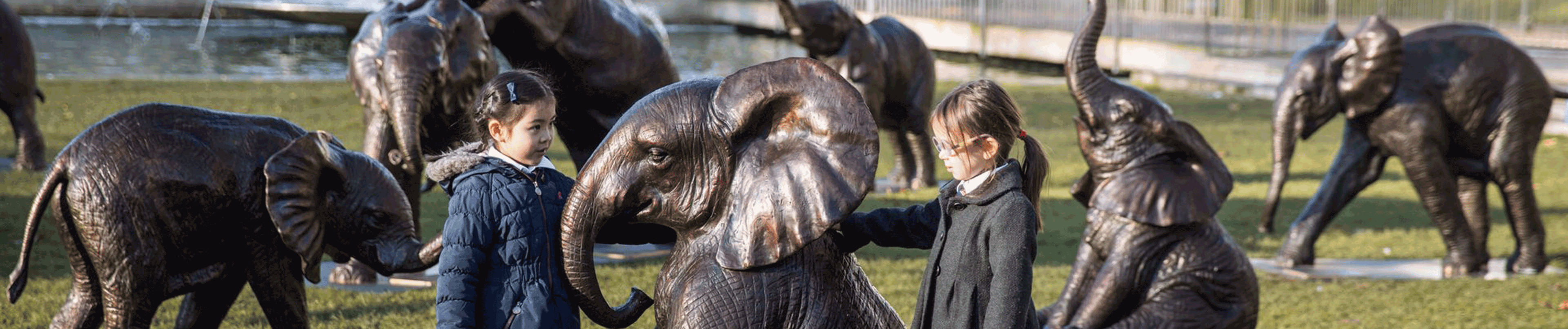 The Elephants of Tomorrow 2019