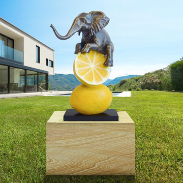 Lemons and Elephant