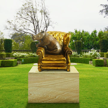 Rhino takes a seat