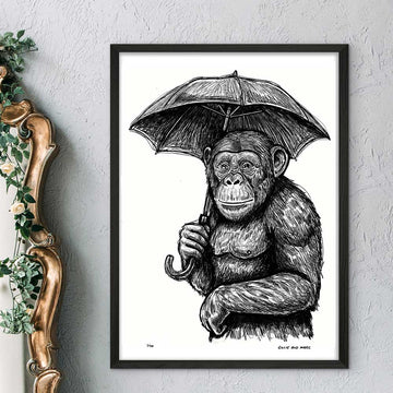 The Chimp and His Umbrella (Giclee Canvas Print)