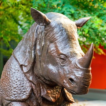 The Javan Rhino Races on the Bicycle (Bronze Sculpture)