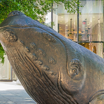 The North Atlantic Right Whale Races on a Surfboard (Bronze Sculpture)