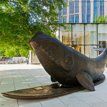 The North Atlantic Right Whale Races on a Surfboard (Bronze Sculpture)