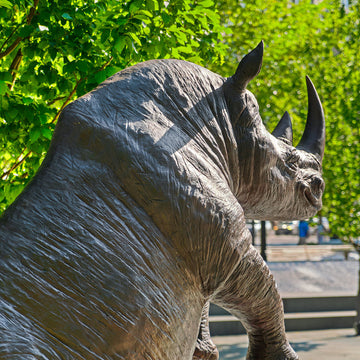 The Northern White Rhino Races on the Skateboard (Bronze Sculpture)