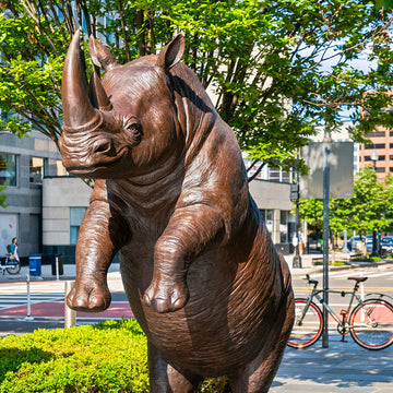 The Northern White Rhino Races on the Skateboard (Bronze Sculpture)