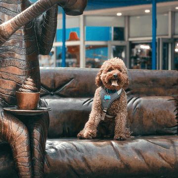 The Wild Couch Party (Bronze Sculpture)