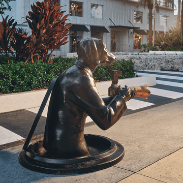 Watch Out for Paparazzi Dog (Bronze Sculpture, Large)
