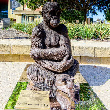 Wild Baby Western Lowland Gorilla (Bronze Sculpture)