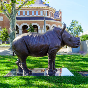 Wild Baby White Rhino (Bronze Sculpture)