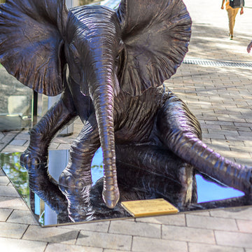 Wild Baby African Elephant (Bronze Sculpture)