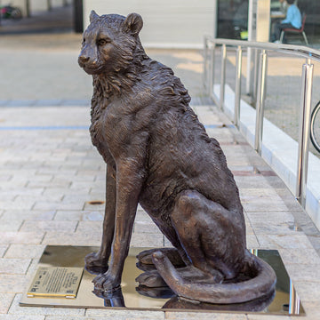 Wild Baby Cheetah (Bronze Sculpture)