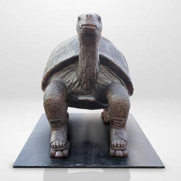 The Galapagos Tortoise Races on Roller Skates (Bronze Sculpture)