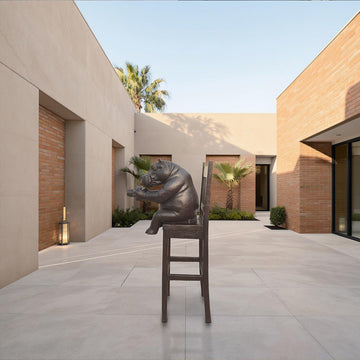 Hippo Above It All, Capturing the World Through a Lens (Bronze Sculpture, Mid-Size)