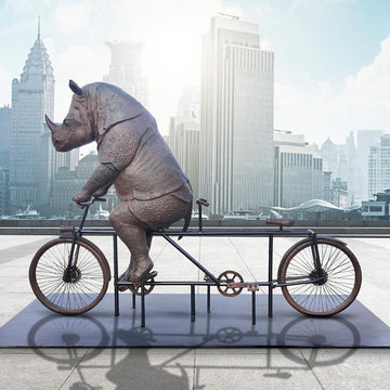 The Javan Rhino Races on the Bicycle (Bronze Sculpture)