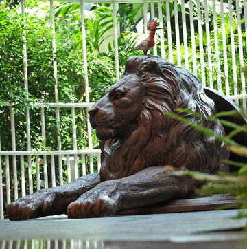 Come out , come out Lion with Hoopeoo bird