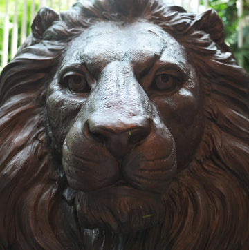 Come out , come out Lion with Hoopeoo bird