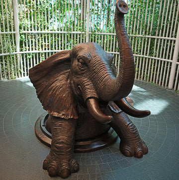 Come out Elephant in Doha