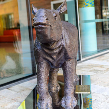Wild Baby Javan Rhino (Bronze Sculpture)