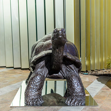 Wild Baby Giant Tortoise (Bronze Sculpture)