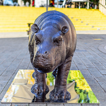 Wild Baby Hippo (Bronze Sculpture)