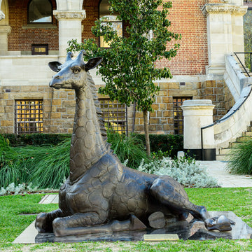 Wild Baby Giraffe (Bronze Sculpture)