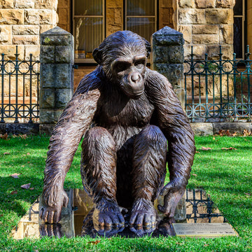 Wild Baby Chimpanzee (Bronze Sculpture)