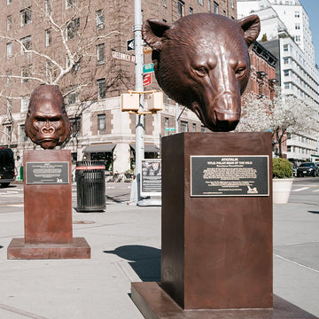 Beno - Western Lowland Gorilla of the Wild (Bronze Sculpture)