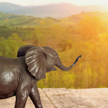 Love the Baby African Elephant (Bronze Sculpture)