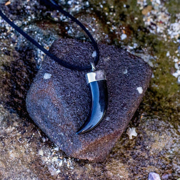 Their love was fierce and gentle at once (Black Horn Pendant)