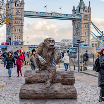 Wild Chimp Communication Skills (Bronze Sculpture)
