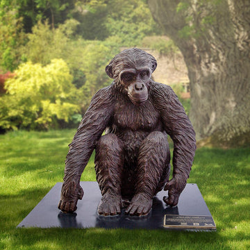 Wild Baby Chimpanzee (Bronze Sculpture)