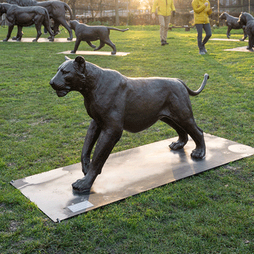 Cub 17 (Bronze Sculpture)