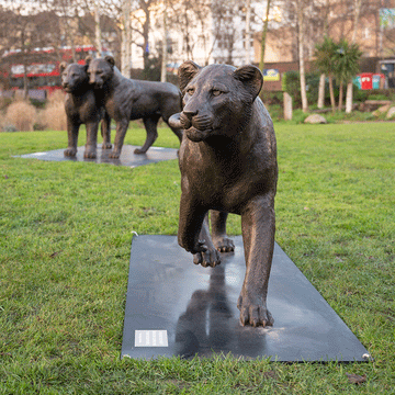 Cub 20 (Bronze Sculpture)