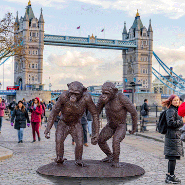 Wild Chimp Friendship (Bronze Sculpture)